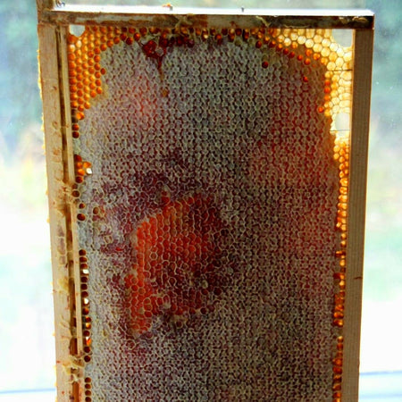 كوفري شهد (العسل في شهده) Coffret cire d'abeille